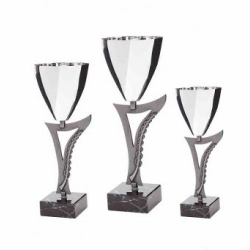 Fabricación trofeos personalizados en Terrassa | Estudi 13 Ref.608 