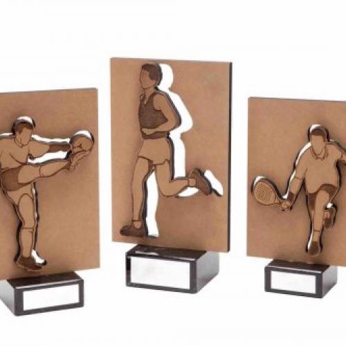 Fabricación trofeos personalizados en Terrassa | Estudi 13 Ref.700